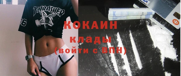 кокс Алексин