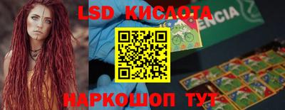 стаф Аргун