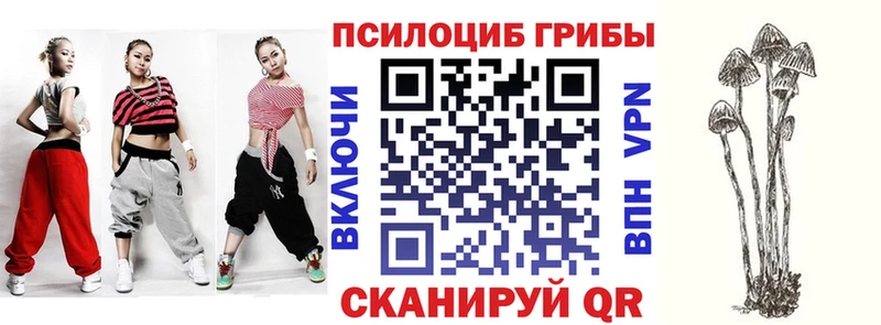 Галлюциногенные грибы мицелий  Воронеж 